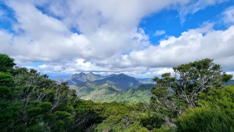 Looking out from Mowburra Peak, over Montserrat to Mount Barney in the distance