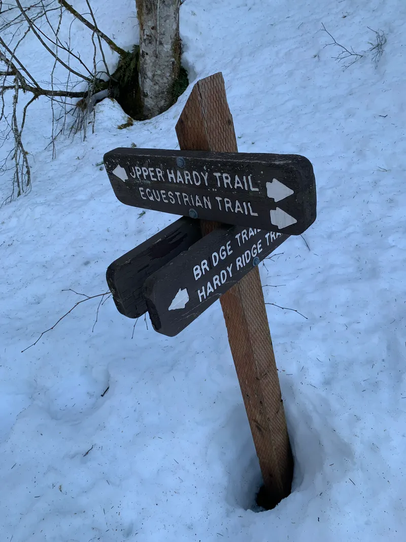 Sign post marking the spot where Bridge Trail turns off from the Upper Hardy Creek Trail
